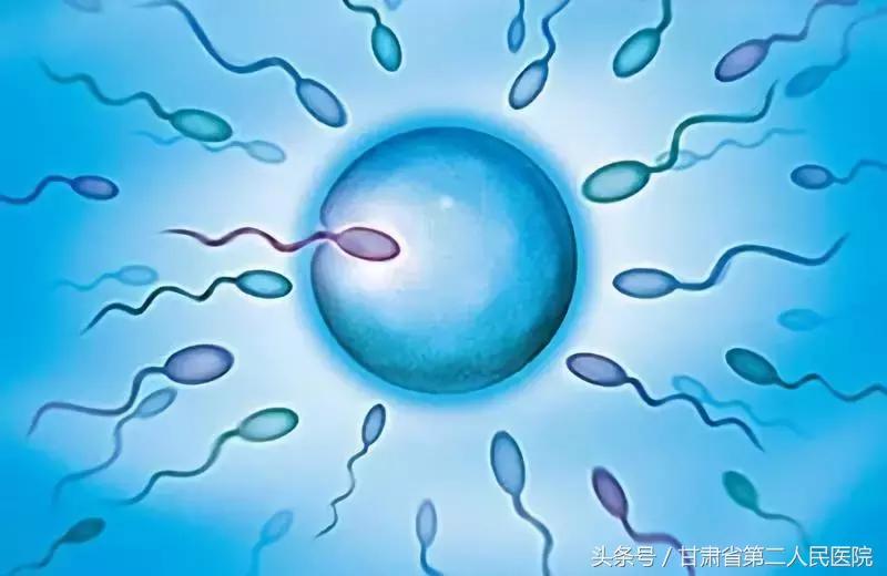 人流术需要注意什么？