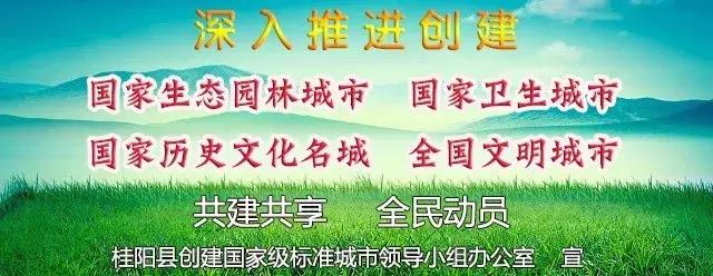 桂阳小伙自创“水琴”迎来大订单