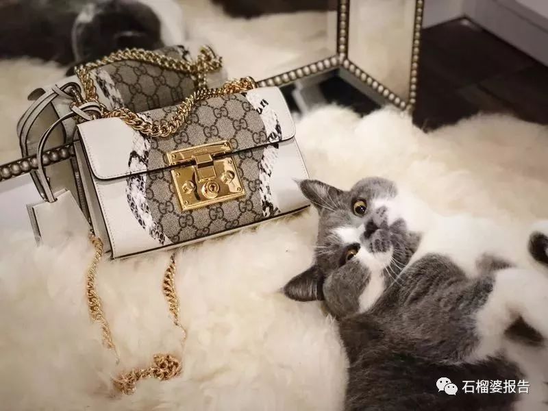 春季必买包包,买大牌包包的意义