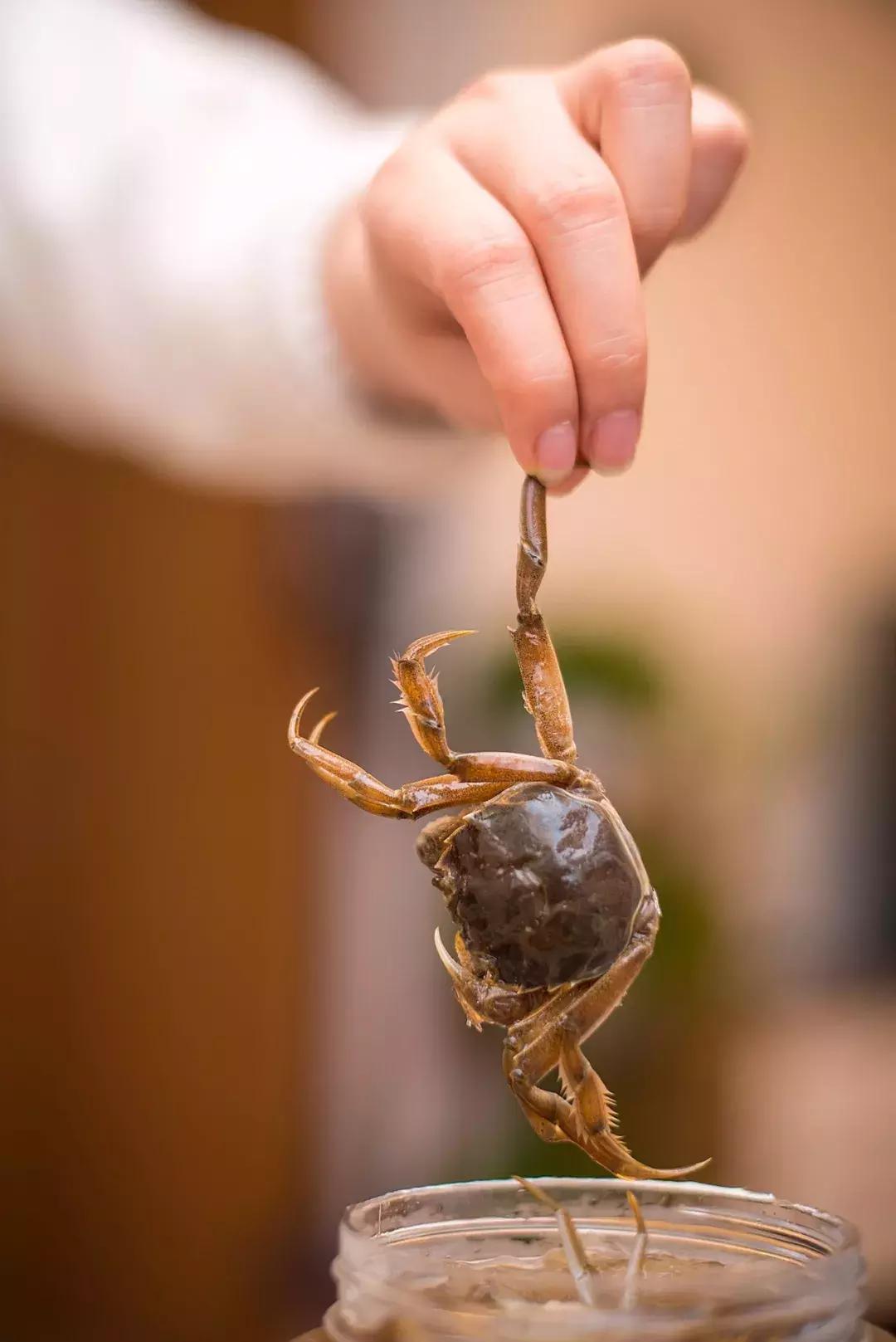 娣樺疂缇庨搴楅摵绉嶈崏,缃戣喘娣樺疂缇庨