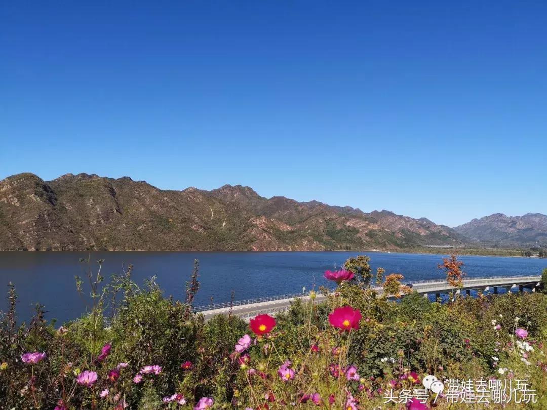 京郊十大亲子酒店,平谷亲子酒店值得去吗