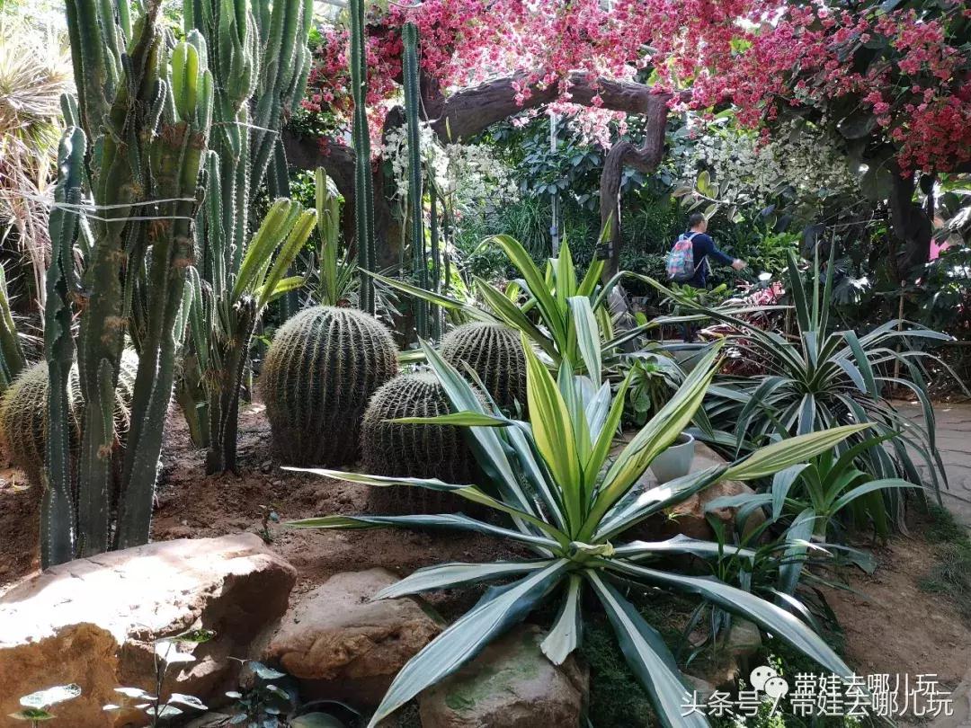 京郊十大亲子酒店,平谷亲子酒店值得去吗