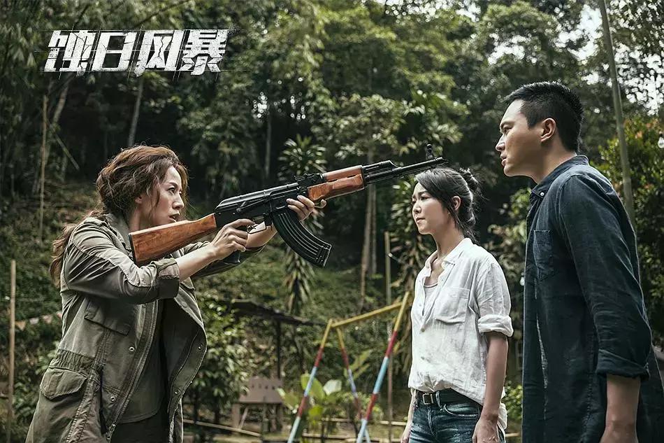 香港警匪片蚀日风暴,香港剧蚀日风暴