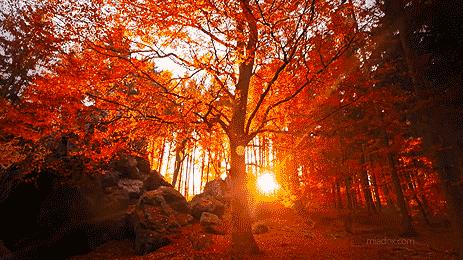 比较热门的十款香水,十大最不腻的香水