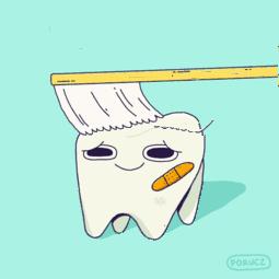 六龄齿生长周期,六龄齿是每个人都有的吗