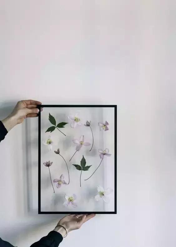 干花工艺画教程,干花做标本画