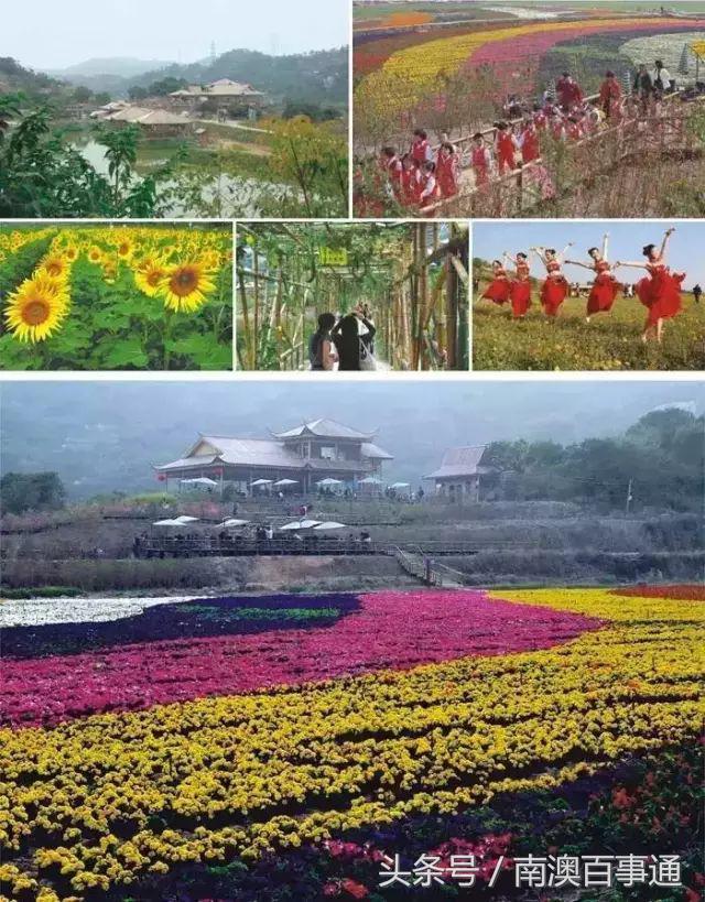 汕头旅游景点推荐第一名,汕头文物保护单位旅游景点推荐