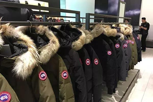 加拿大鹅假货买的多吗,加拿大鹅假货多么