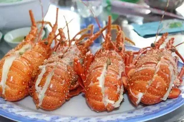 芽庄999元靠谱吗,999元越南芽庄6日游