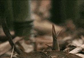 吃遍大连-新店雨后春笋般冒了出来，拔不拔草你们说了算