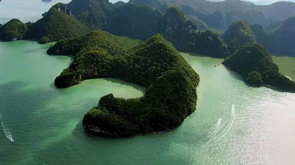 李茶的姑妈海景大别墅,李茶的姑妈在马来西亚