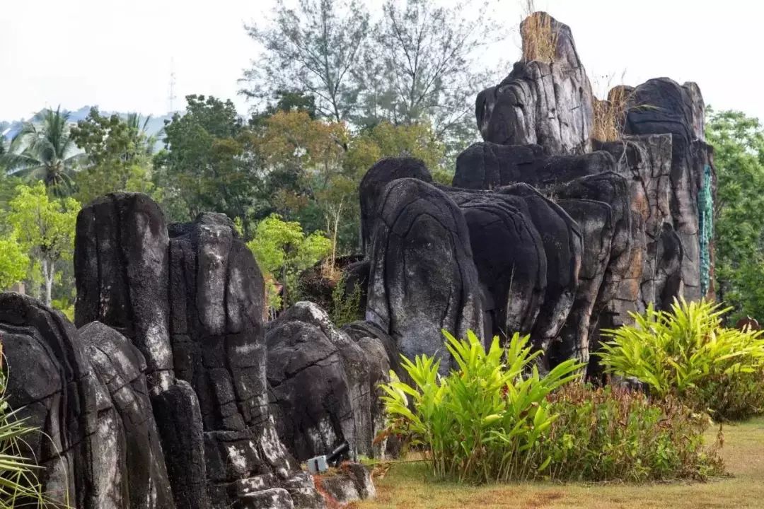 李茶的姑妈海景大别墅,李茶的姑妈在马来西亚