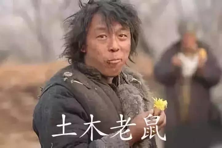 方言大挑战舟曲方言,舟曲方言可怜的人怎么说