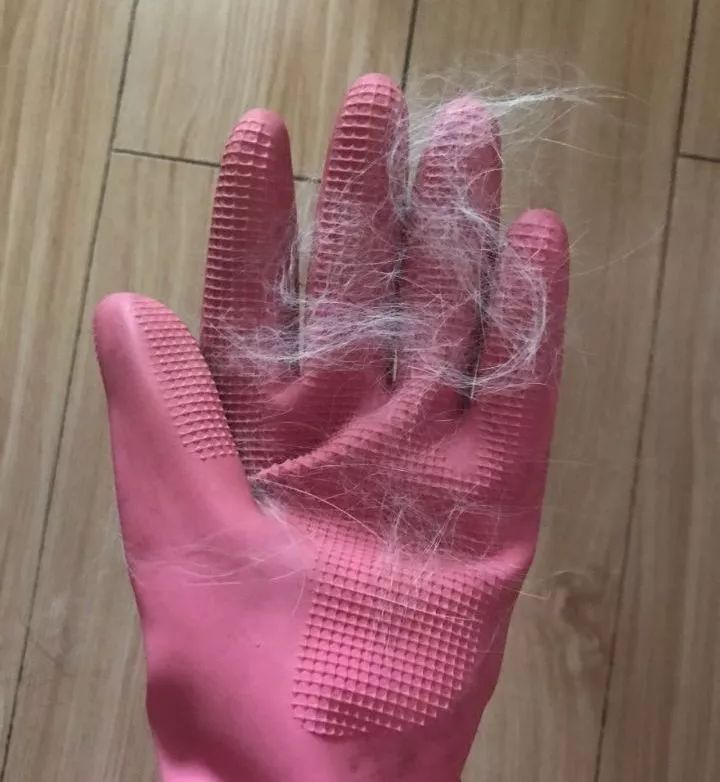 哈哈哈哈哈哈哈哈这届猫奴的智商有点高!