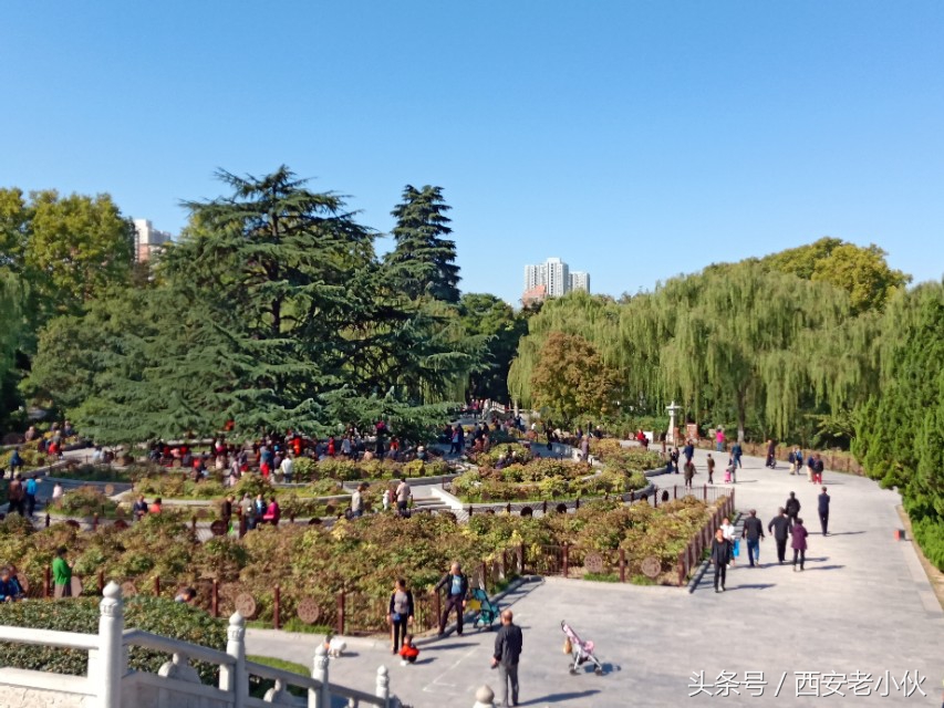 西安兴庆公园合唱团直播,西安兴庆公园歌手