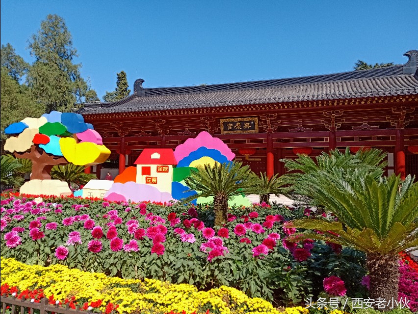 西安兴庆公园合唱团直播,西安兴庆公园歌手