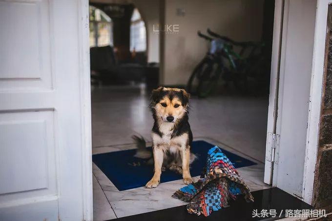 铚傞娓歌,鑺藉簞铚傞娓歌