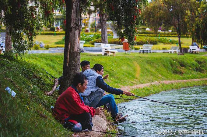 铚傞娓歌,鑺藉簞铚傞娓歌