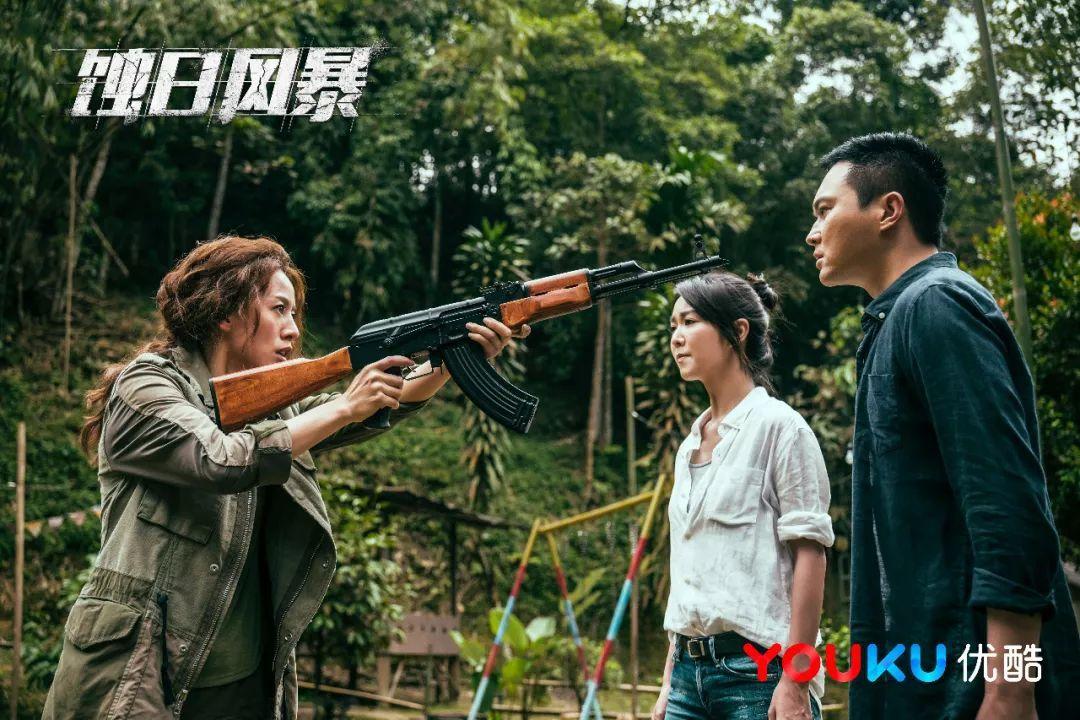 蚀日风暴最后怎么样了,蚀日风暴后面剧情怎么崩盘了