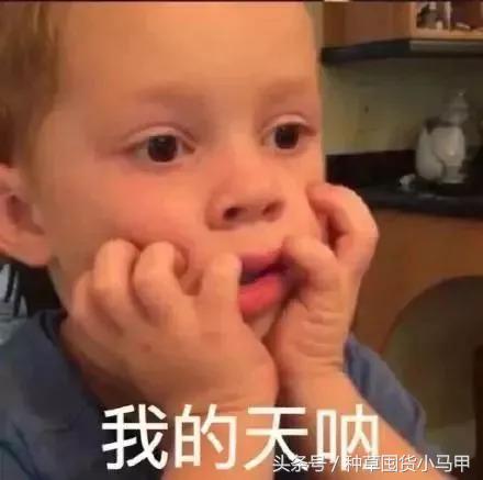 真代购和假代购的区别,网上代购是真是假