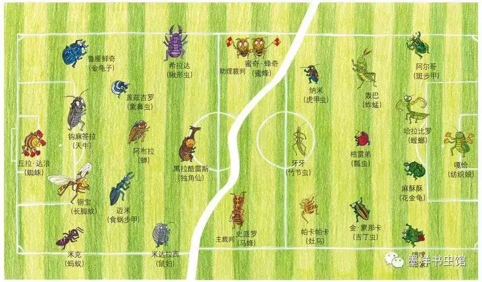 0-3岁幼儿足球绘本书目,儿童足球励志书籍