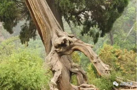 山西交城县旅游,吕梁交城游