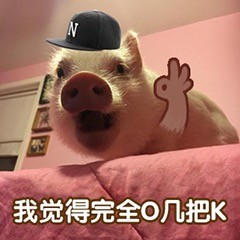 欧美段式眼影推荐,平价好用开价的眼影