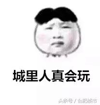 合肥房企拿地,近期合肥拿地房企