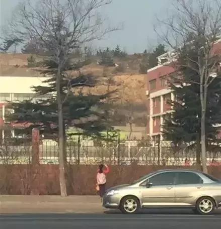 被央视批评的网红莉哥,网红莉哥被封杀了吗