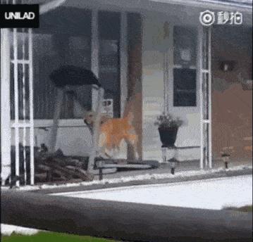 懒癌需要什么来拯救,懒癌拯救指南