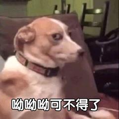 这些平价自带磨皮效果的粉底液，让你秒变万人迷