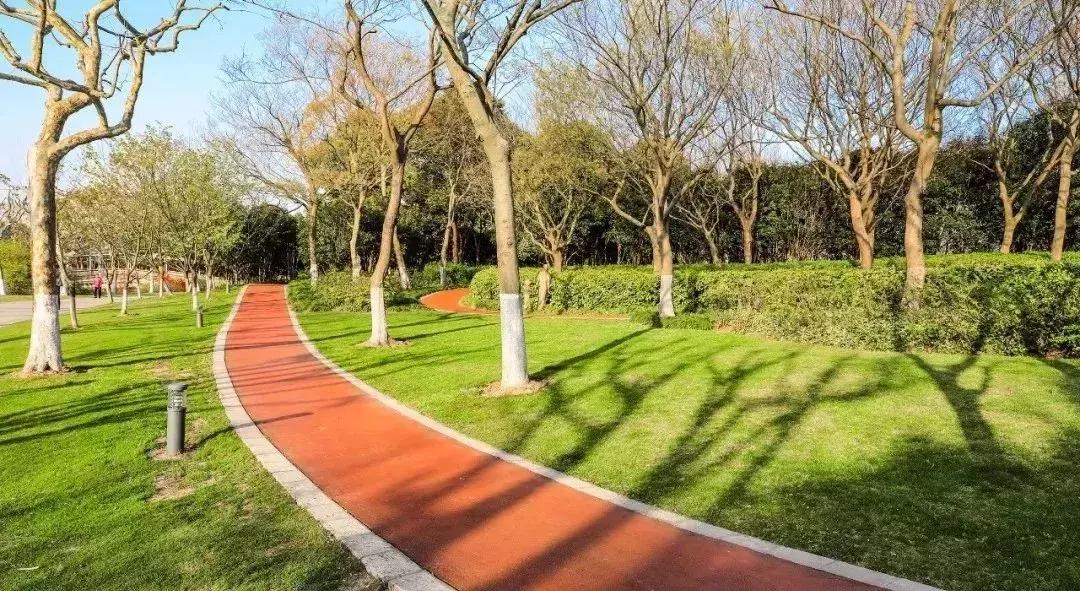 赏桂好去处,金秋赏桂好去处