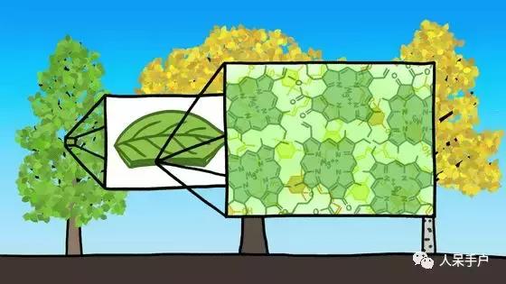 秋天到底是什么颜色的呢,秋天和秋雨是一种什么样的颜色