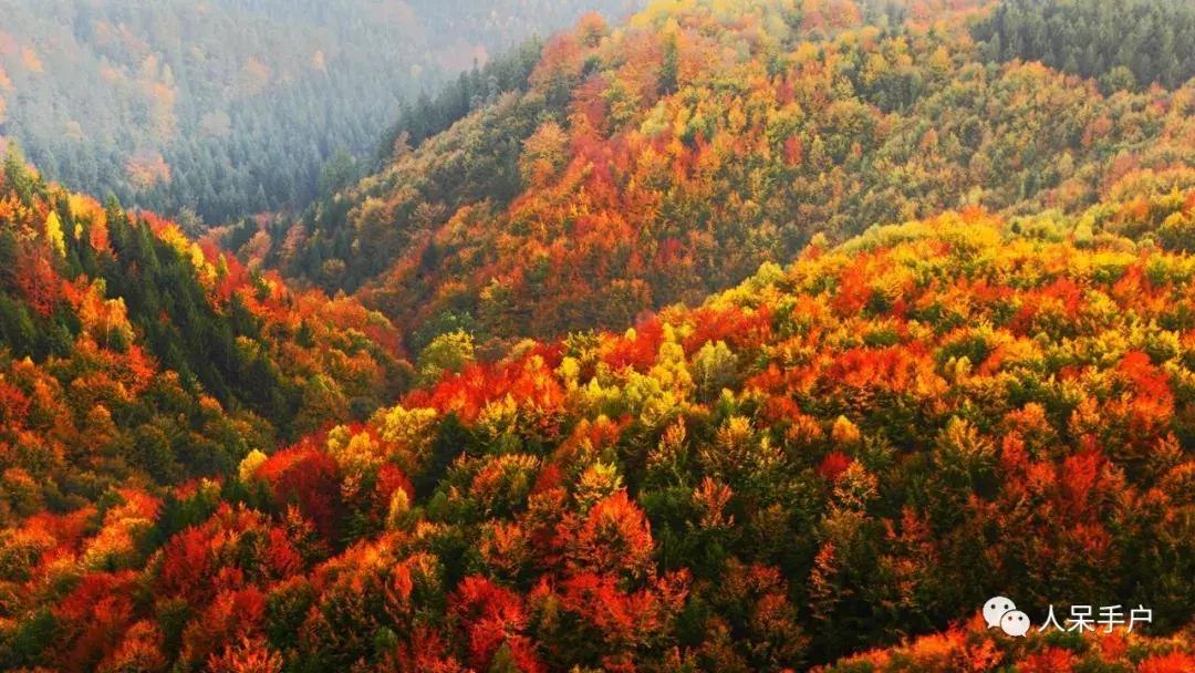 秋天到底是什么颜色的呢,秋天和秋雨是一种什么样的颜色