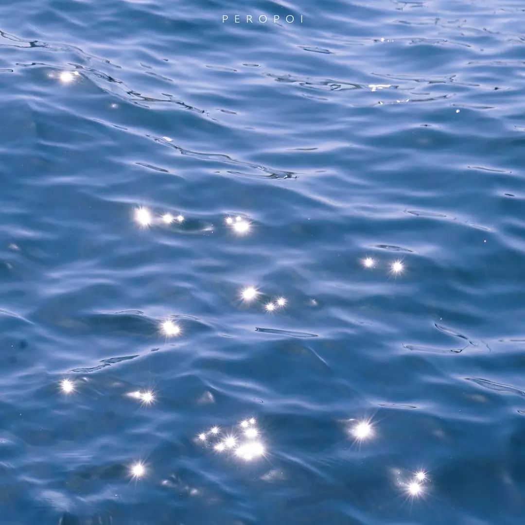 想做一个摄影师应该怎么开始,辞职做自由职业