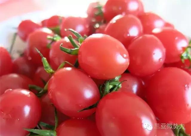 海南人最喜欢吃的食物,海南人吃最多的是什么