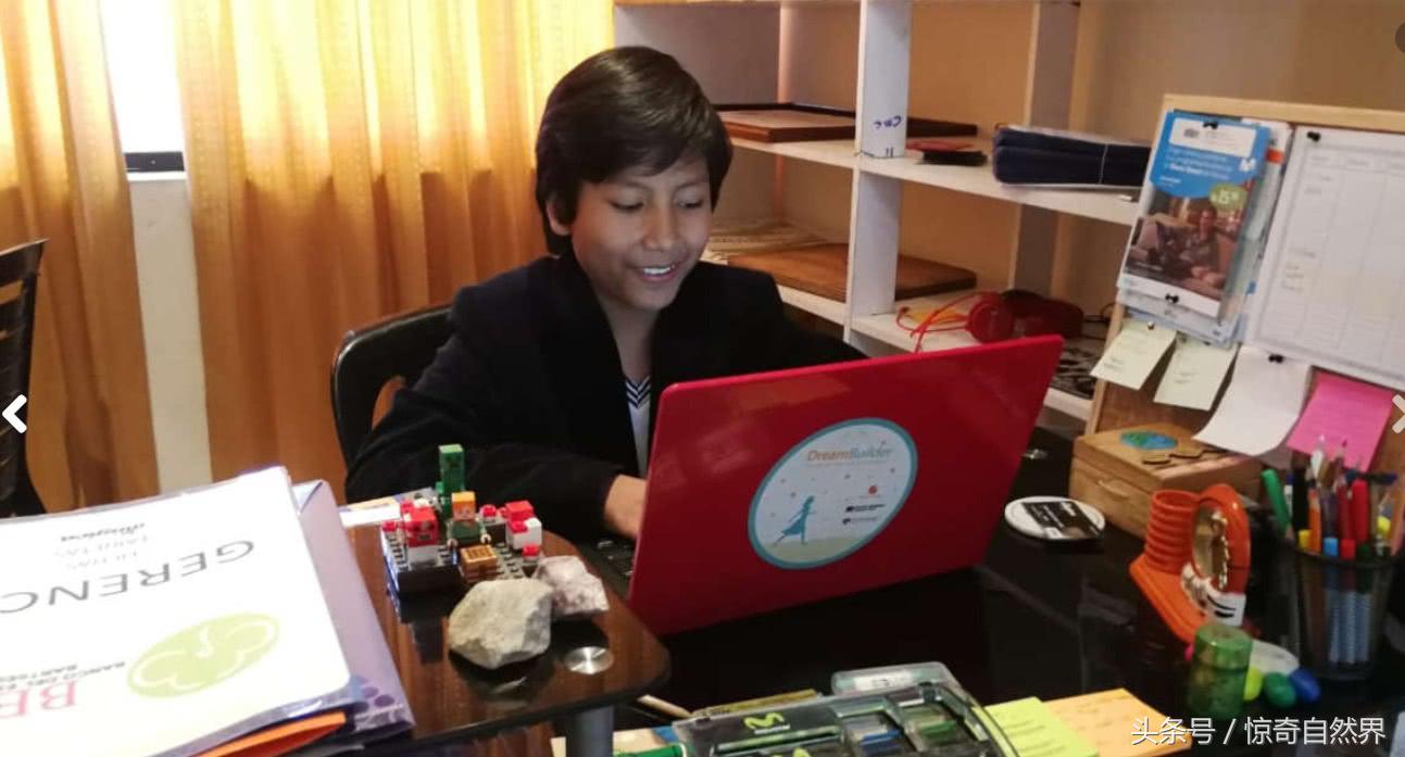 8岁小孩开启创业,7岁小孩开公司