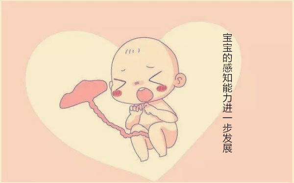 孕期同房，胎儿会有什么感受？结果真是出乎意料！