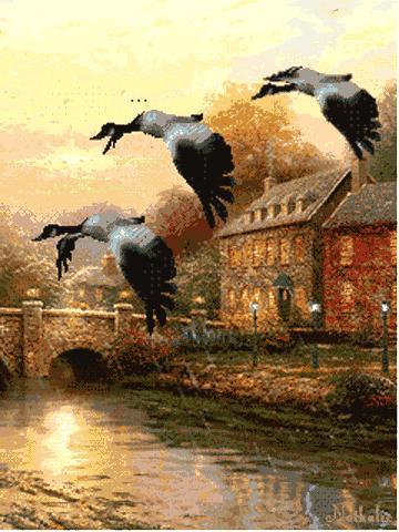 10张会动的照片,11张会动的图片