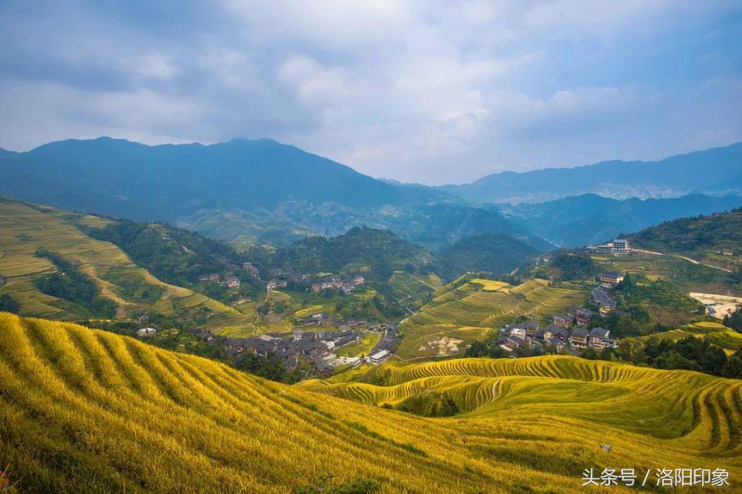 洛阳机场客流,2019年洛阳机场客流