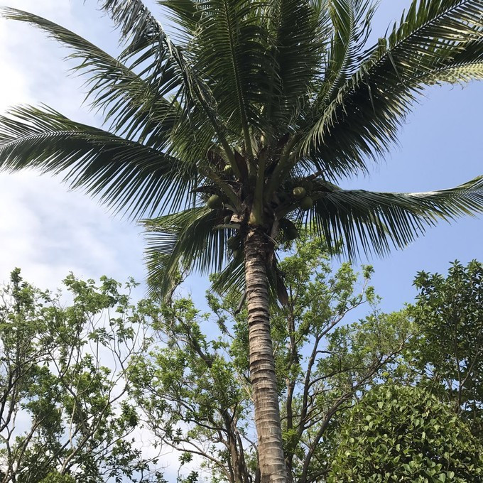 三亚自由行攻略推荐,三亚海阔天空