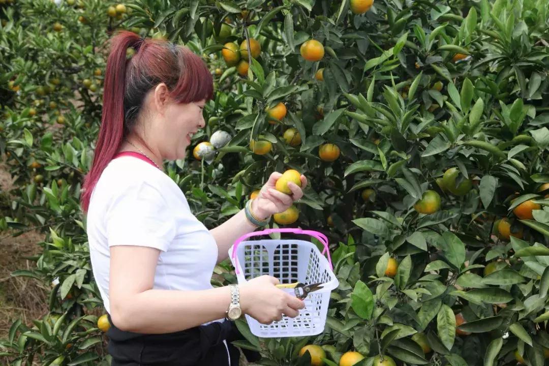 这一口甜蜜，让几百个三明人恋爱了