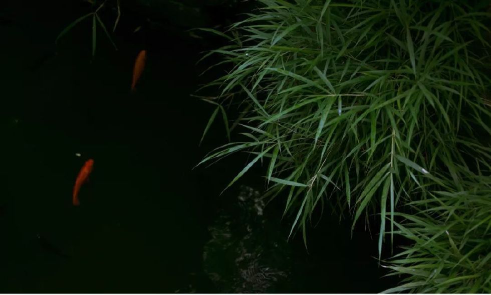 古有“九雅”，忘忧释怀丨私享·仿古