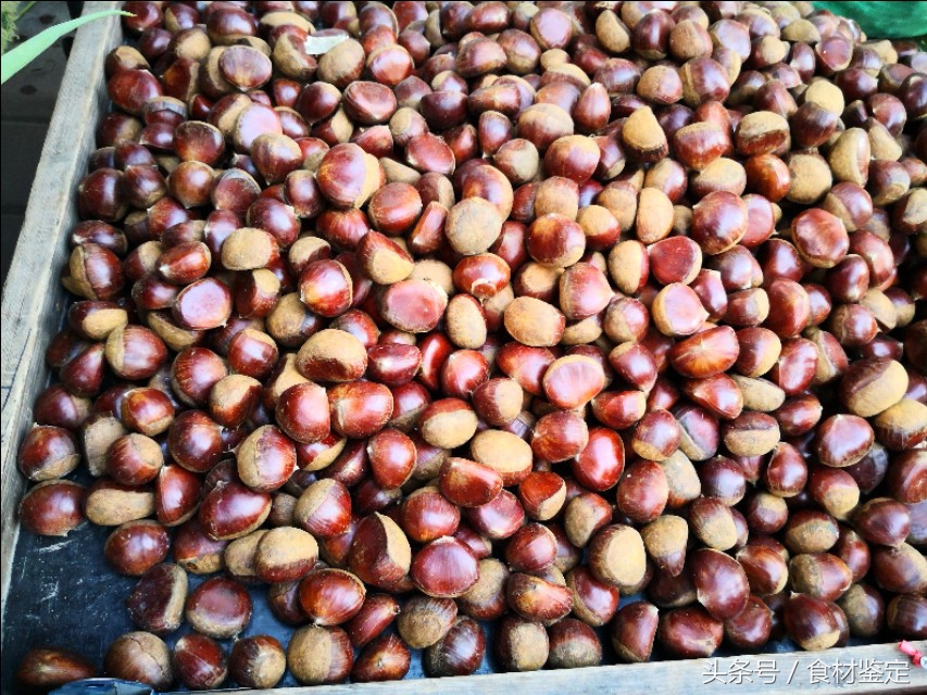 沈阳农贸市场里的美食,沈阳的秋天很美