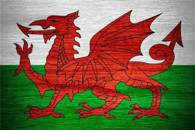 csgo买一把龙狙要多少钱,csgo十年前的龙狙怎么获得