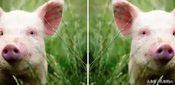 ps打开所有图层快捷键,ps最实用快捷键大全