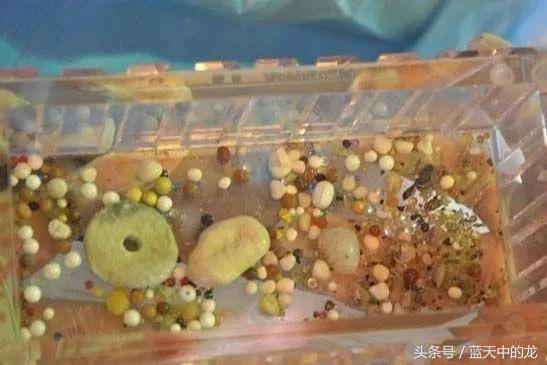 为何高僧火化后有舍利子,得道高僧为什么火化后会有舍利子