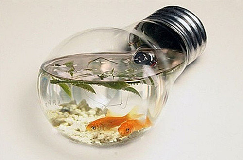 生活小百科妙招,生活百科之家庭小妙招