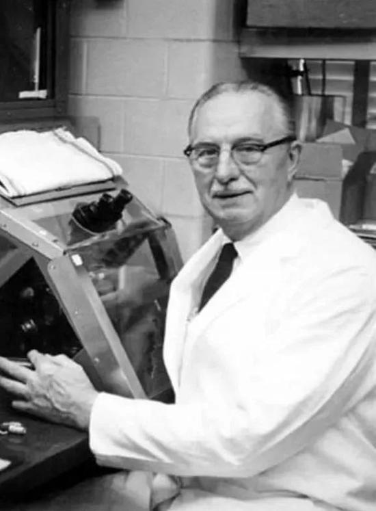 癌症细胞永生,死于癌症