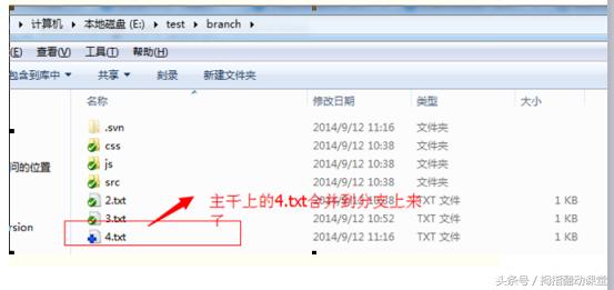 svn使用教程总结,ideasvn使用教程